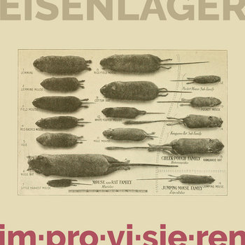 eisenlager album cover