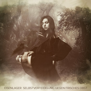 eisenlager album cover