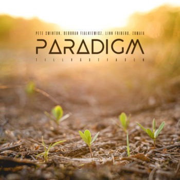 paradigm album cover